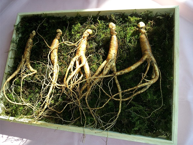 Energiaital összetevő: Ginseng
